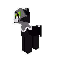 Cat Pony