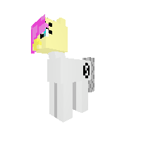 New Pony