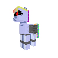 R-DASH 5000