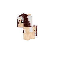 cinnamon foal