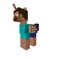 New Pony