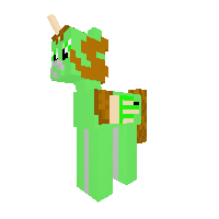 a pony