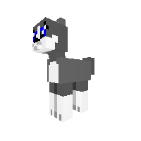 HuskyPup