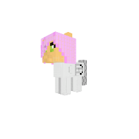 New Pony