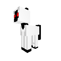 entity 303