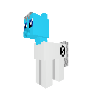 New Pony