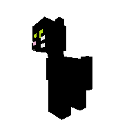 Black Cat