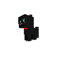 Shadow