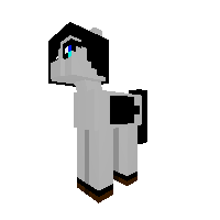 New Pony