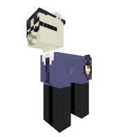 Kyoya Pony