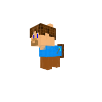 pony STEVE