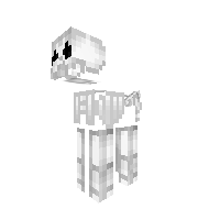 Skeleton