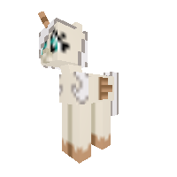 New Pony